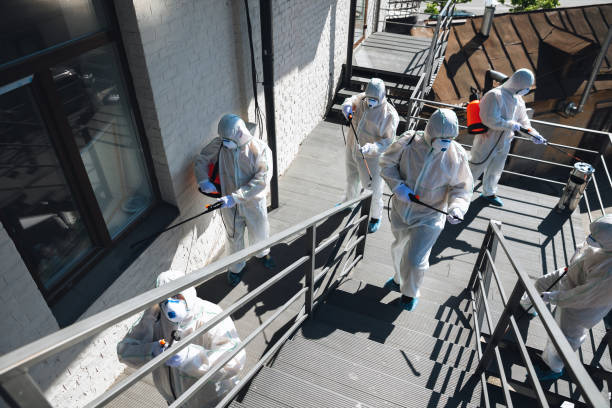 Best Residential Mold Inspection & Testing  in Merritt Island, FL