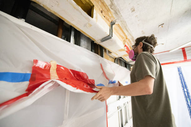 Best Environmental Consulting for Mold Prevention  in Merritt Island, FL